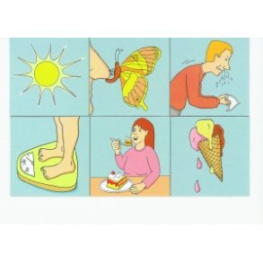 Twinfit - Hvad frer til hvad?