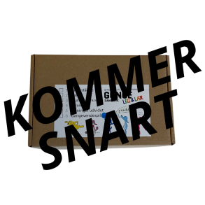 Anette K vrkstedskasse 5-Terninger 2