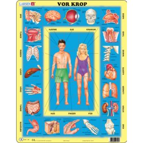 Kroppen pusle 36,5 x 28,5 cm.