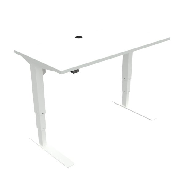 Hve/snke bord120 x 80 cm hvid